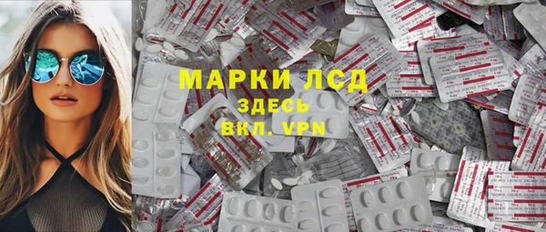 гашик Няндома