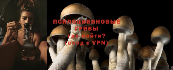 mdpv Нязепетровск