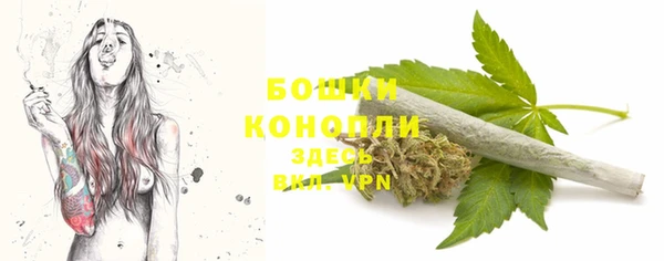 гашик Няндома