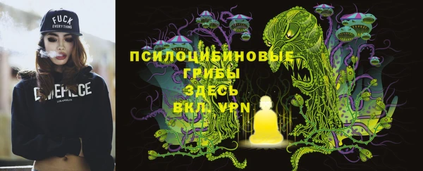 герыч Осинники