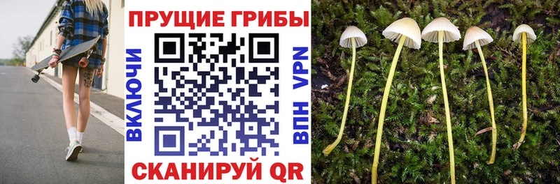 МЕГА зеркало  Нягань  Галлюциногенные грибы Magic Shrooms 
