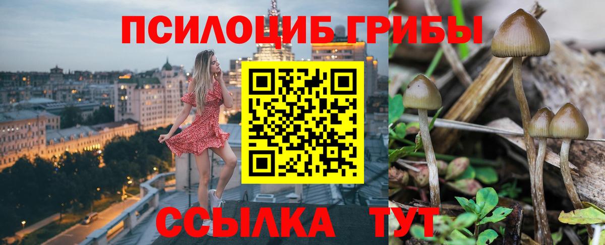 Галлюциногенные грибы Psilocybine cubensis  Вход с VPN  Галлюциногенные грибы ЛСД  Нягань 
